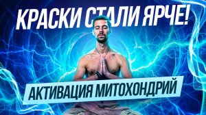 8 МИНУТ ДЫХАТЕЛЬНОЙ ПРАКТИКИ — И ТЫ ДРУГОЙ ЧЕЛОВЕК: быстрая перезагрузка тела