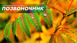 Исцеление позвоночника |  Саблиминал