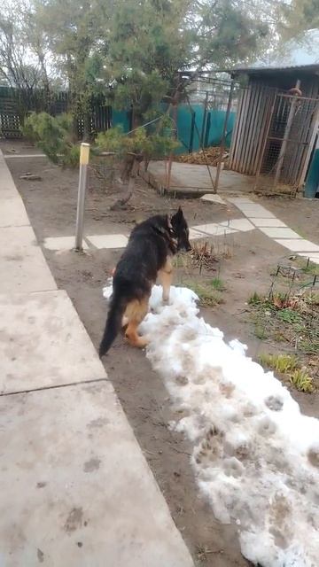 Солар