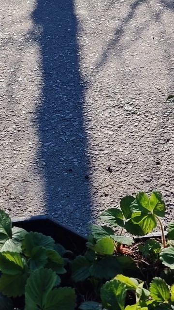 И так.... Ежедневно ✅🤣