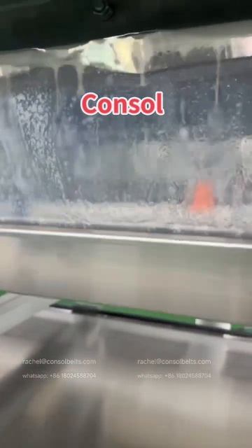 Consol Pastillator System - Rachel Wang Consol Steel Belt (720p, H264, Youtube)