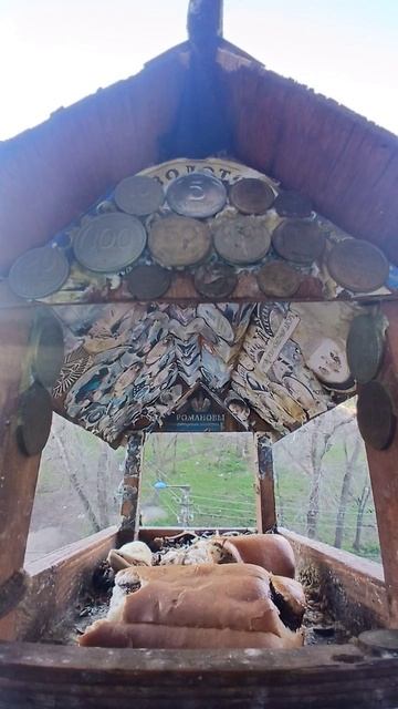 1000016635.mp4Жизнь кормушки.30.04.2026г.