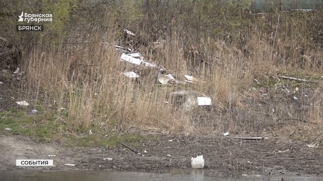 Брянские дачники добились первых побед в борьбе с мусором