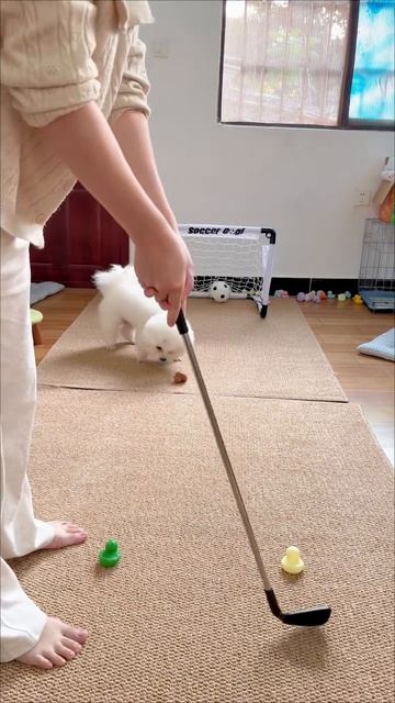 Video_2026-03-20_11-07-04