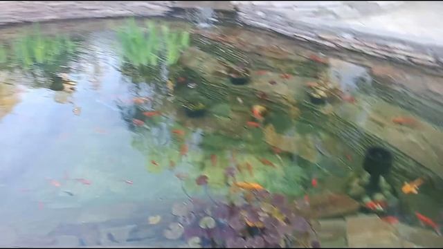 Славянка.. Открываемся..