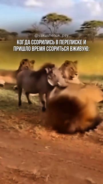 Ты знаешь кому отправить это видео 😂