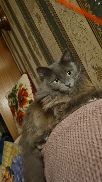 Следствие вели...