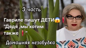 3 часть. Гавриле пишут ДЕТИ❗️«Дядя, мы хотим также❗️»