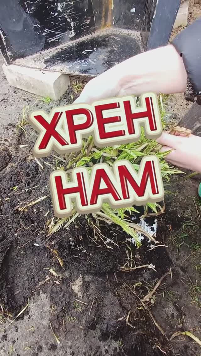 Хрен нам 😉