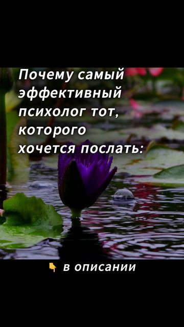 эффективный психолог