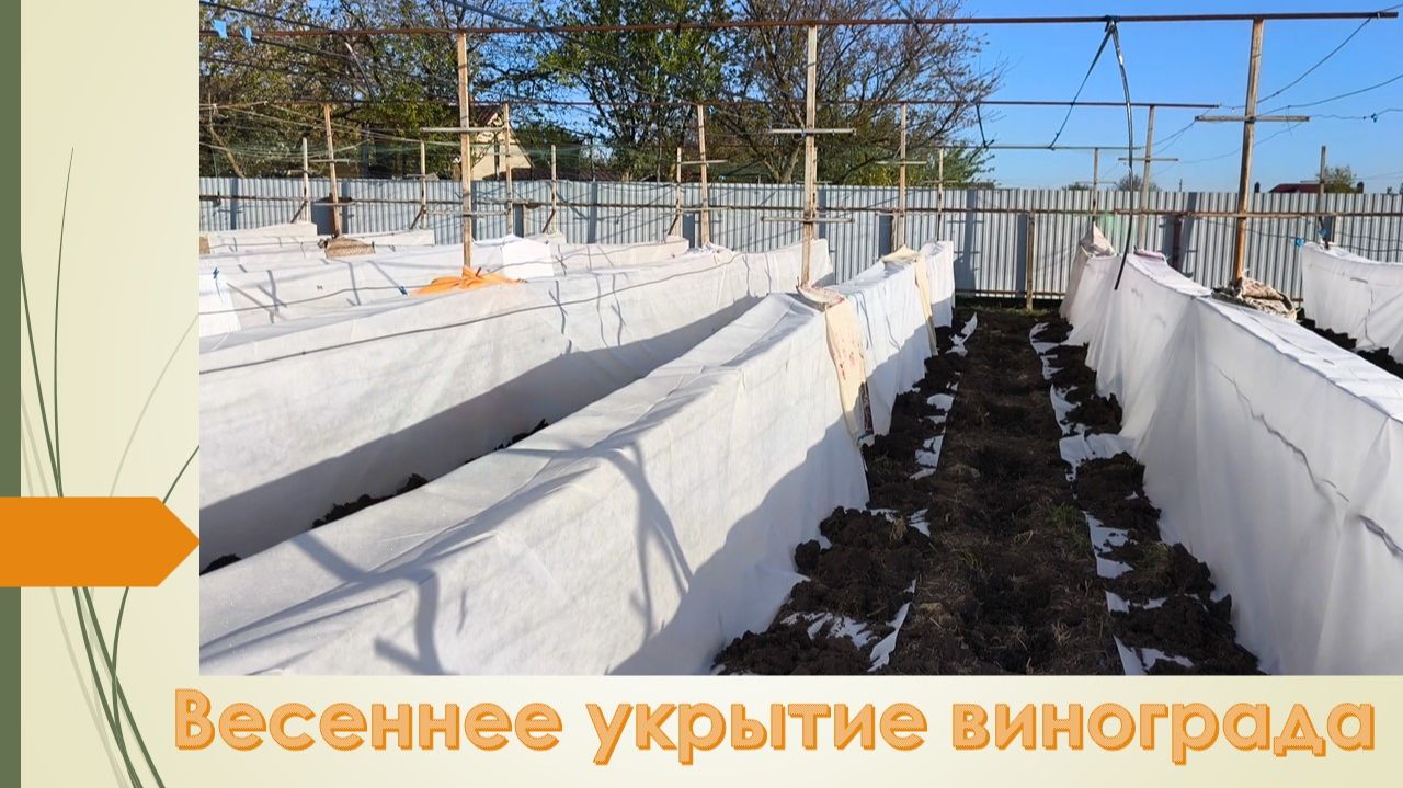 Повторно укрыл виноград... Непредвиденные затраты, но это необходимо...