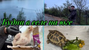 ❤️Непогода повлияла/ Первое взвешивание бройлера/ Работы не видно