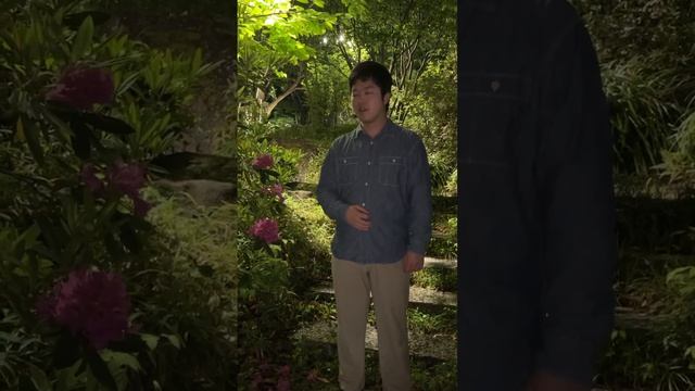 Михаил Матусовский. Подмосковные вечера  — исполняет  Масакацу Янаи