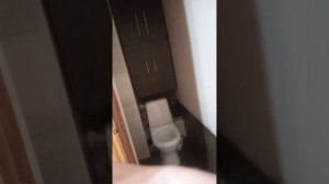 влог с впр