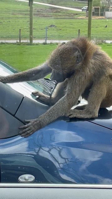 Такой концовки я и сам не ожидал (281)