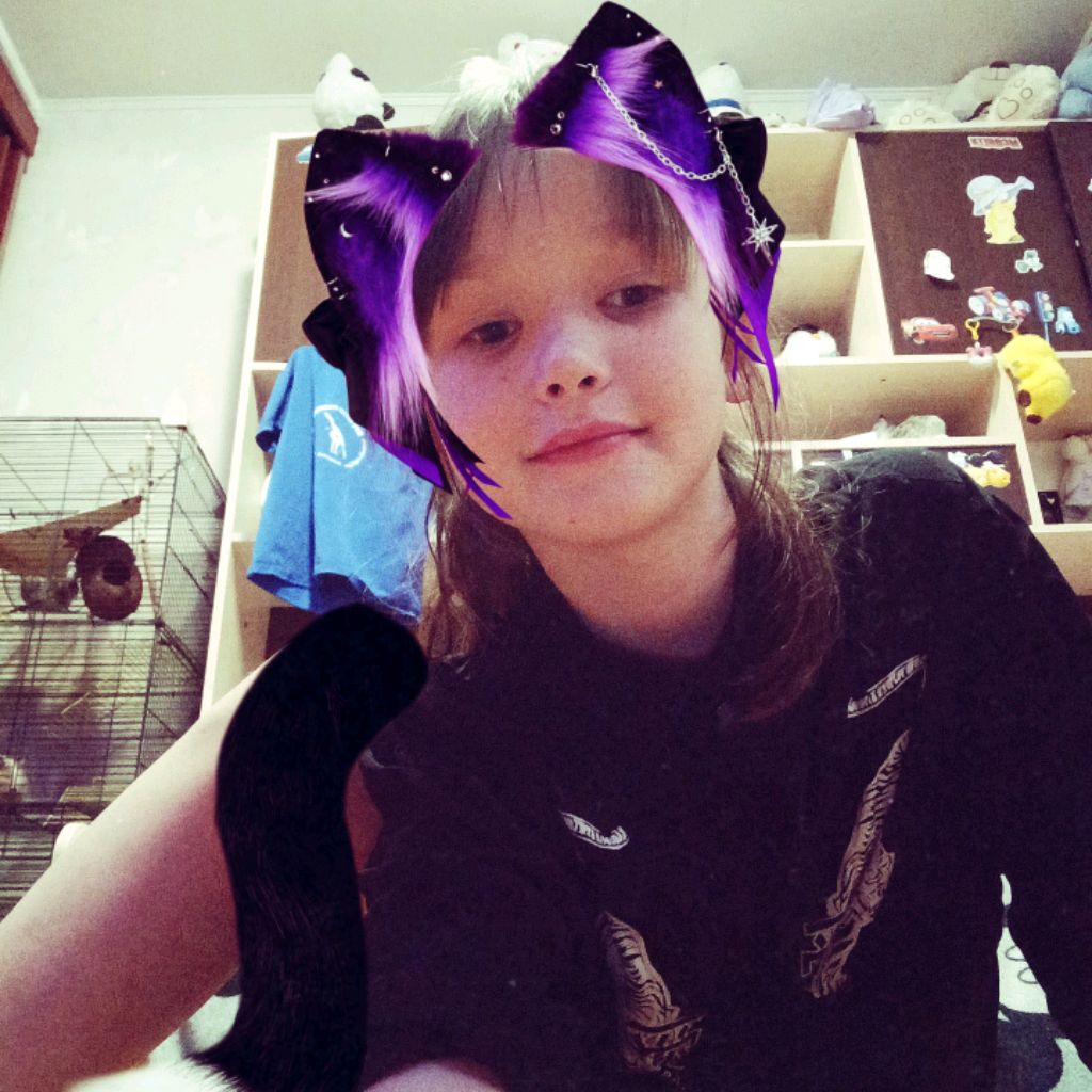 я и как я провожу время со своим котиком баси