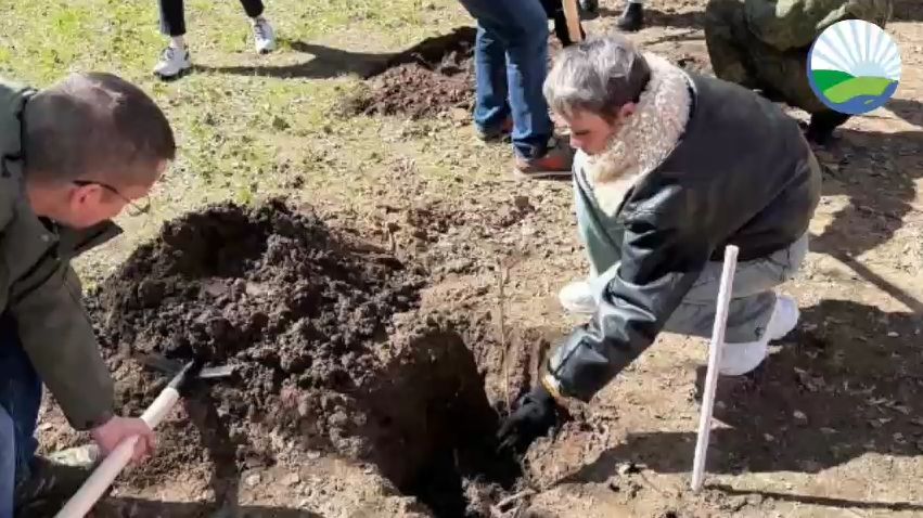 Живая память: в Бабушкинском районе Москвы высадили сирень в честь героев СВО