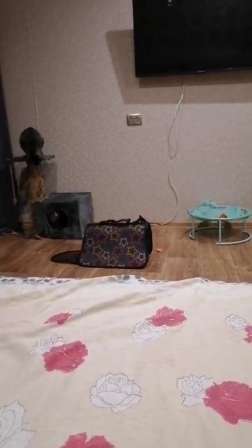 любять друг друга