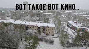 Покупки с WB /Узи сердца и зубы /Алиса в кино /Зима вернулась