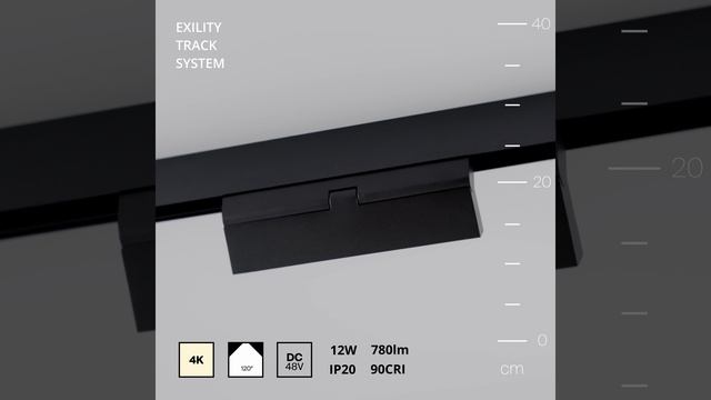 Светильник Maytoni Exility Basis TR036-2-12W4K-B