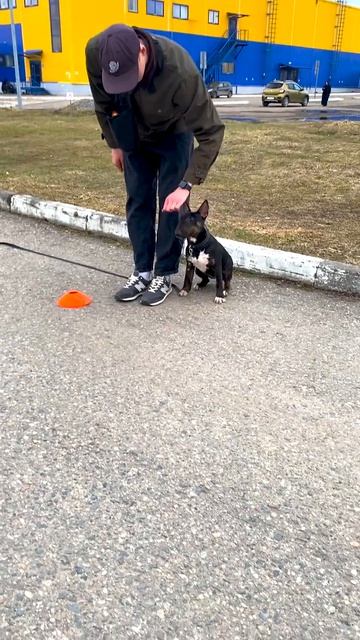 Клип @lapa35vologda