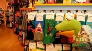 Gus the Gummy Gator Visits Universal Studios and Hollywood in California for the first time!