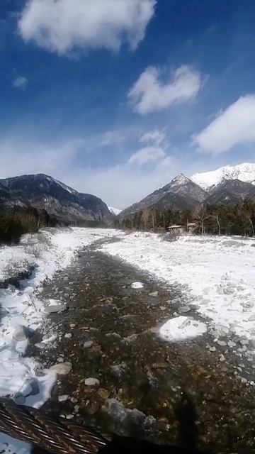 petal_20260424_160307.mp4