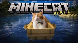ДАЛИ КОШКЕ ПОИГРАТЬ В МАЙНКРАФТ. ЧТО ОНА БУДЕТ ДЕЛАТЬ?? ЧАСТЬ 2
