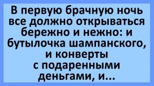 В первую брачную ночь все должно открываться бережно и нежно... | Анекдоты смешные | Юмор