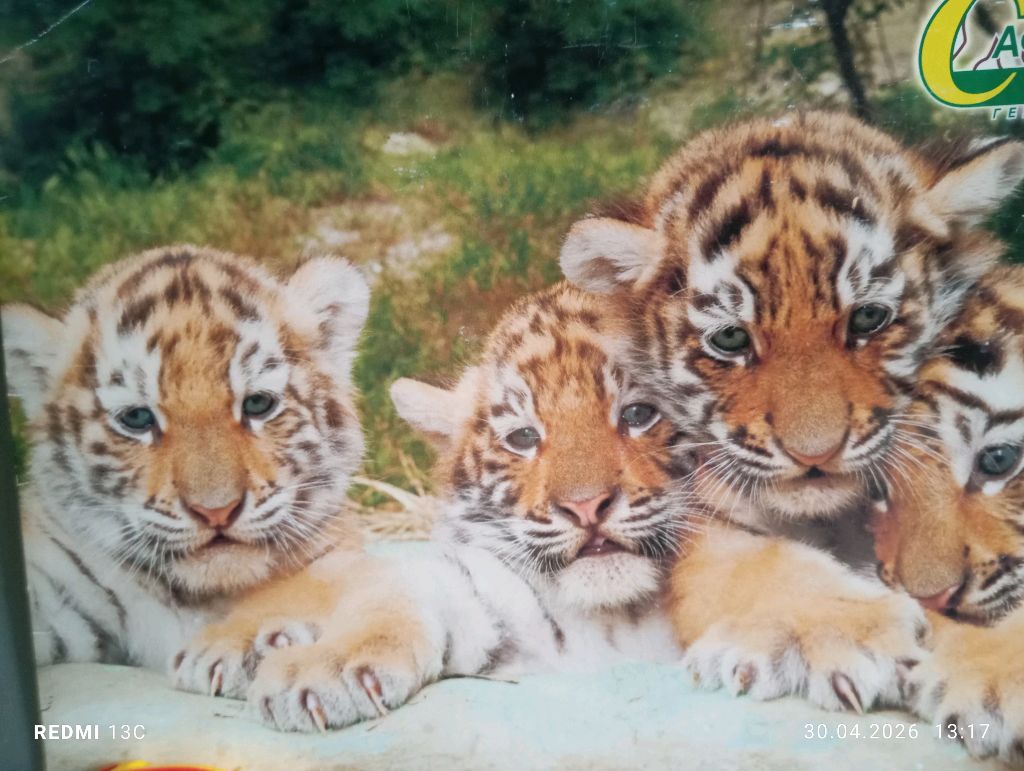 командный матч ♠️