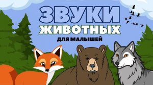 КАК ГОВОРЯТ ЖИВОТНЫЕ- Развивающий мультфильм с настоящими звуками животных для детей