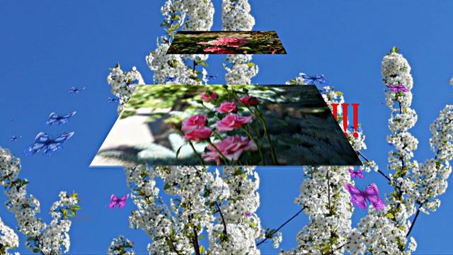 С 1 МАЯ!!! Поздравление к празднику 1 от Киностудии Мудрого Кота Тимофея!