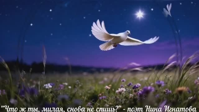 Что ж ты милая снова не спишь - поэт Нина Игнатова