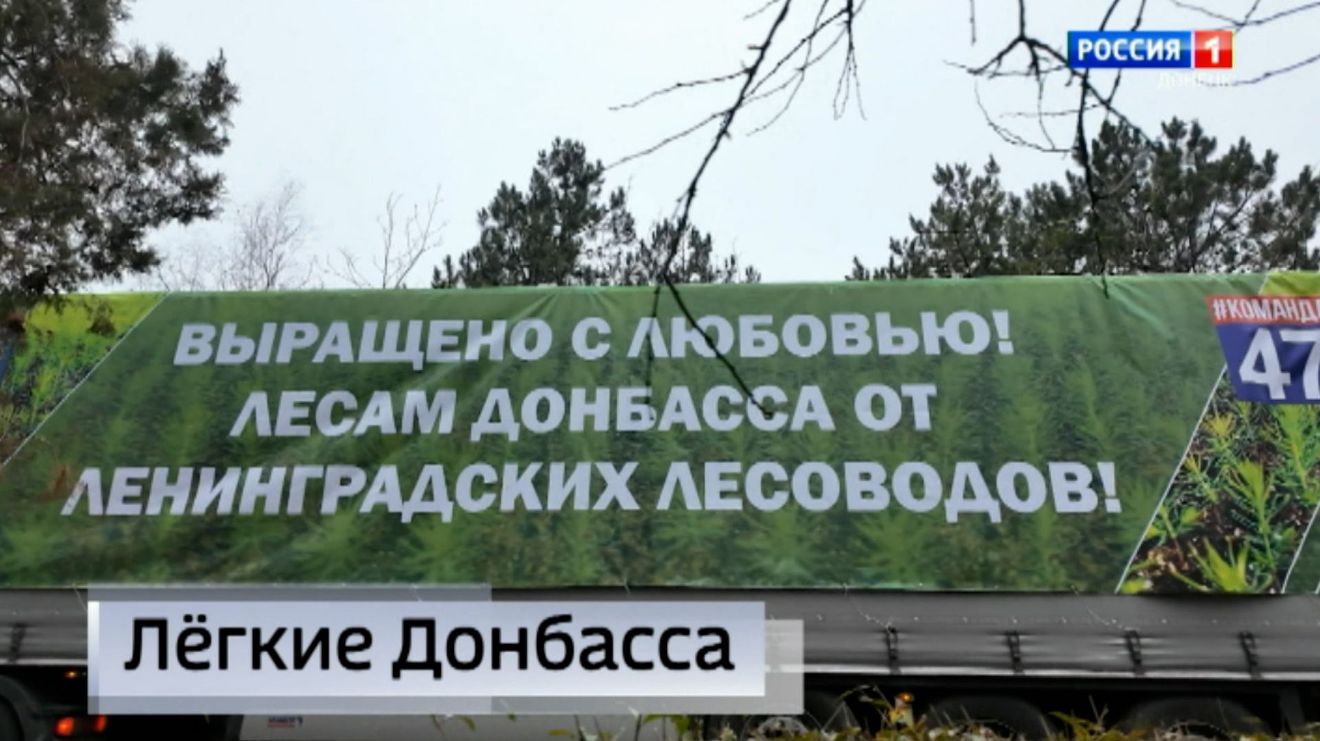 Ленинградская область помогает Донбассу восполнять утраченные лесные богатства