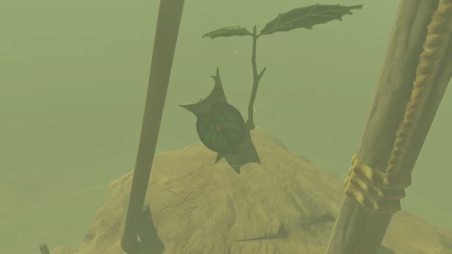 Корок на крыше