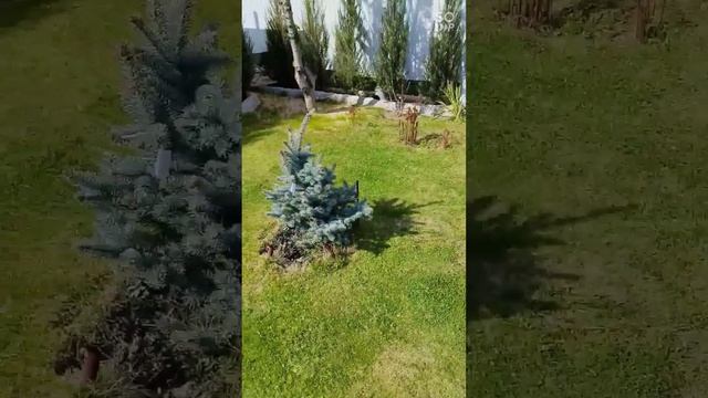 Дача 29.04.2026.