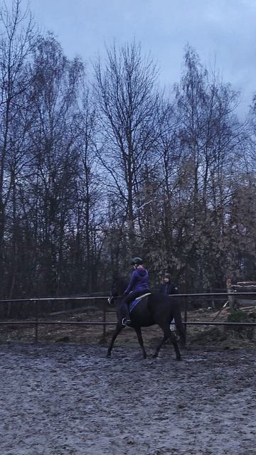 Ульяна и Рокас Вэлл, учебная рысь на плацу.