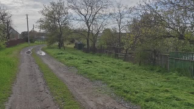 Бройлеры закончились, начат новый сенокосный сезон.