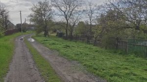 Бройлеры закончились, начат новый сенокосный сезон.