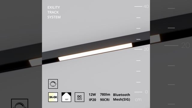 Светильник Maytoni Exility Basis TR030-4-12W3K-WW-DS-B