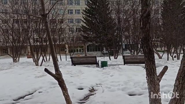 __ Прогулка на свежем воздухе.Архив