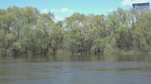 О вакцинации жителей города Урюпинска 2026