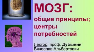 Физиология потребностей 7 - Зеркальный принцип работы мозга