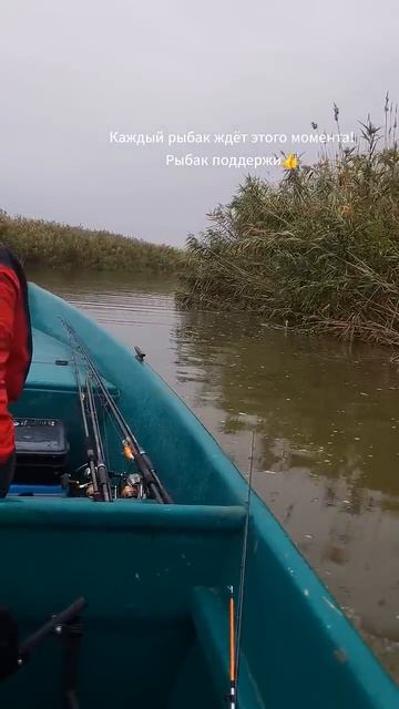 рыбалка в каспийском канале #рыбалка #Астрахань #рыбаки #астраханскаяобласть