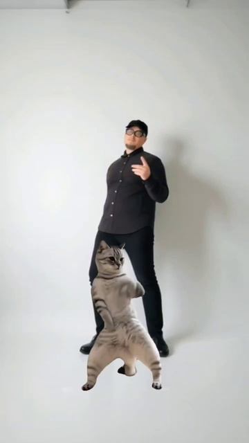 танцевальный батл с котиком