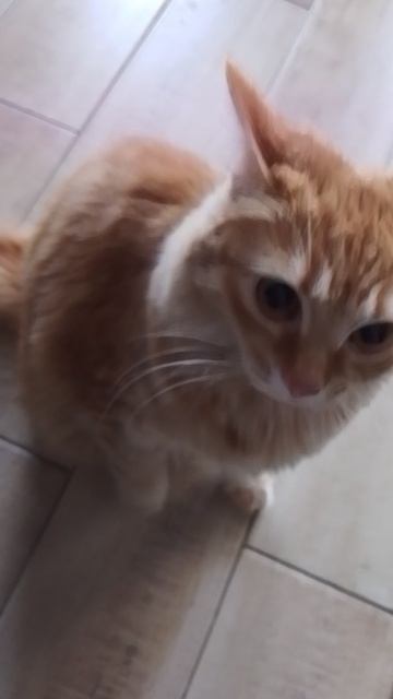 1000003431.mp4