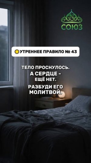 Утреннее правило №43