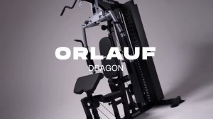 Orlauf Dragon - многофункциональная мультистанция для дома