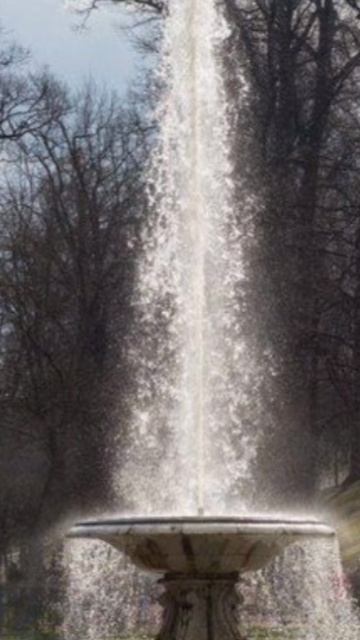 InShot_20260430_084515862 САНКТ-ПЕТЕРБУРГ ПЕТЕРГОФ