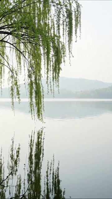 Тишина природы: отражения на воде #природа #мир #спокойствие #река